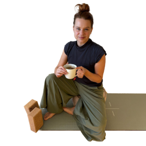 Willkommen auf kursraum.online